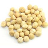 Macadamia Nut /Орех макадамии FW