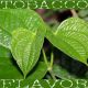 Табачный /Stag Leaf Tobacco FW